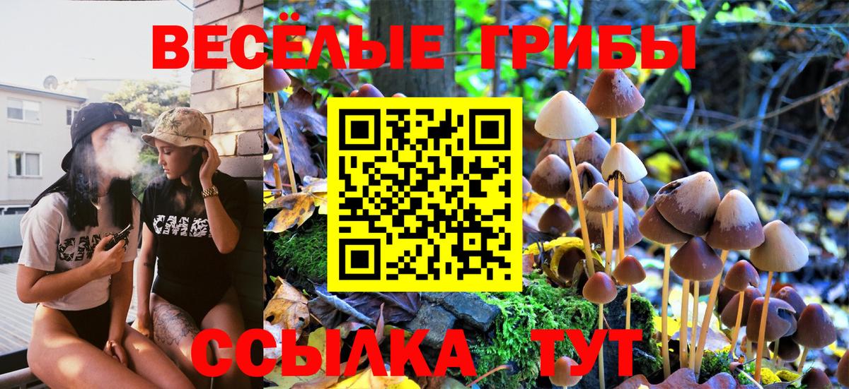 Мелеуз  Галлюциногенные грибы Cubensis  Вход с VPN 